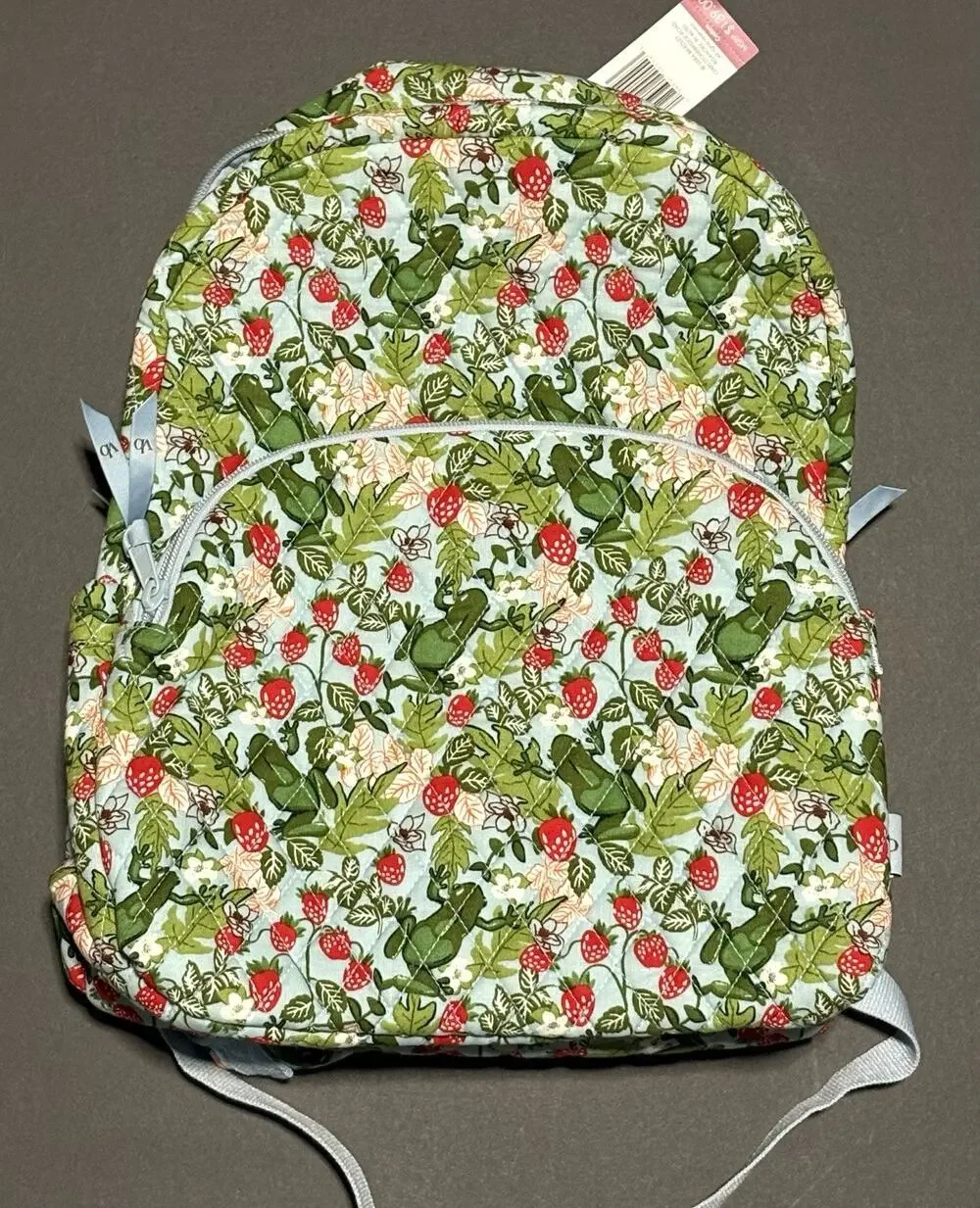 Vera Bradley Frogberry Essential Backpack Book Bag EXACT Frogs Raspberries NWT